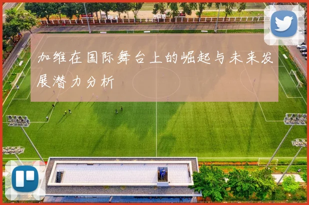 加维在国际舞台上的崛起与未来发展潜力分析