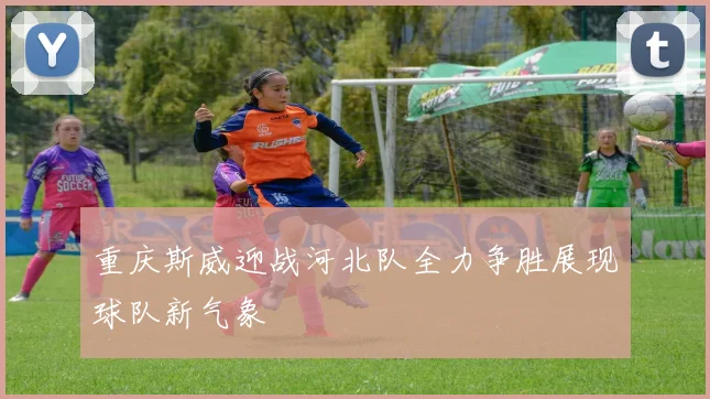 重庆斯威迎战河北队全力争胜展现球队新气象