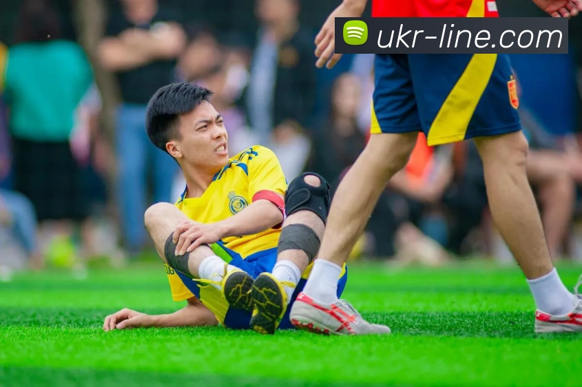 开云体育平台生态图