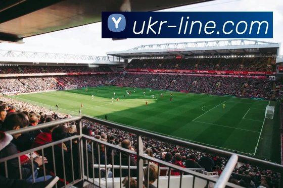 开云体育APP 封面图